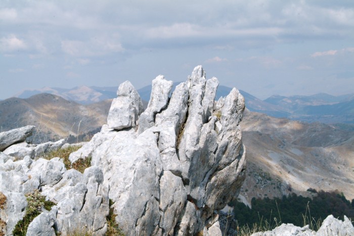 Sculture naturali